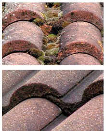 Roof tiles before and after.